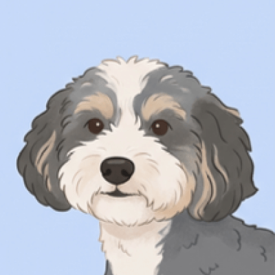 Stella - Chief Barketing Officer at DRVE